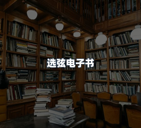 关于选弦电子书